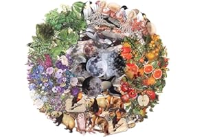 NOGAMOGA Transparent Scrapbooking Stickers, 240 Pcs Self-Adhesive Flora and Fauna Vintage Stickers Bullet Journal Stickers Ideal for Photo Album Card Making Crafting Laptop