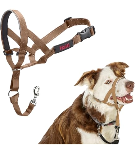 Hundehalfter Mit W-Druck - Verstellbares Nylon-Halsband Für Alle Hundegrößen