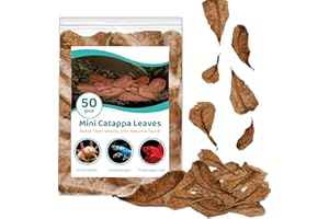 SunGrow Shrimp Indian Almond Catappa Leaves, Provide Shelter and Food in Fish Aquarium Tank, Additional Source, Perfect for Breeding and Hiding (Mini (2", 50 Leaves))