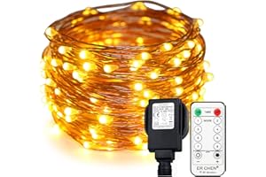 ER CHEN Erchen Plug in Fairy Lights, 33 FT 10M 100 LED Dimmable Copper Wire LED Starry String Lights with 4.5V DC Power Adapter Remote Control for Wedding Christmas Party Bedroom (Warm White)