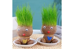 LEMBRD 2 Grow Your Own Kits - Grass Head Doll Plant - Grass Heads for Kids to Grow - Perfect Cute and Funny for Men Women Kids - Fresh Grass Plant for Home and Garden Decoration