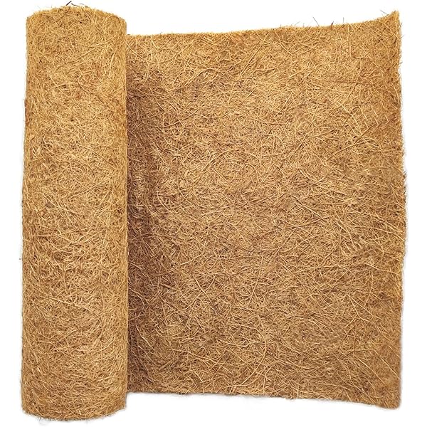 Pinze Per Alimentazione Rettili WHYCNJL - 2 Pezzi 30cm, Acciaio Inox Con Punta In Gomma