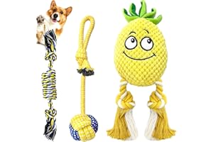 Sqinor Giochi per Cani Squeak Interattivi, Resistenti Peluche per Cani, Farciti Giocattoli per Cani Grandi Media e Piccoli (Giallo (Set di Giocattoli Cani con Ananas))