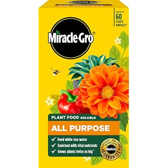 Miracle Gro All Purpose Concentrated Liquid Plant Food, 800ml - View 6