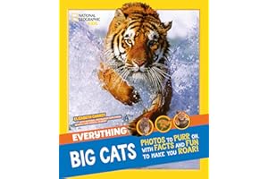 Everything: Big Cats