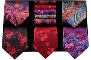 HISDERN Set 5 PCS Cravatta Uomo - Tinta Unita, Pois, Quadri, Righe - Fazzoletto Incluso - Per Festa e Matrimonio