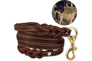 JYHY Correa para Perro de Piel auténtica con Doble asa – 6 pies de Largo y 5/8 Pulgadas de Ancho Correa Trenzada de Piel auténtica/Resistente para Perros Grandes, medianos y pequeños Entrenar y Caminar