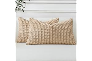 Sungeek Zestaw 2 jasnobrązowych, miękkich dekoracyjnych poszewek na poduszki ze sztruksu, boho, w paski, na sofę, kanapę, do salonu, patio, domu wiejskiego, dekoracja domu, 40 x 60 cm