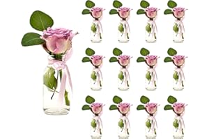 CASAVETRO Lot de 12 Bouteilles en Verre Style Maison de Campagne - Vase décoratif de Table - pour Mariage - Rose
