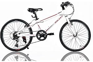 LEONX Zebra Hybrid Kids Bike 20-Inch Wheels Children Bicycle Alloy Aluminum Lightweight Bicycles with Shimano 7 Gears Multi-purpose for Boys & Girls 5 to 8 years