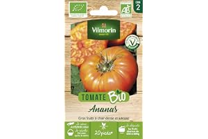 Tomate Ananas - BIO