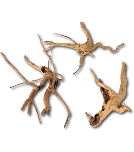 Radice Sera Scaper Root Per Acquario - Decorazione Naturale Per Acquascaping - Foto 2