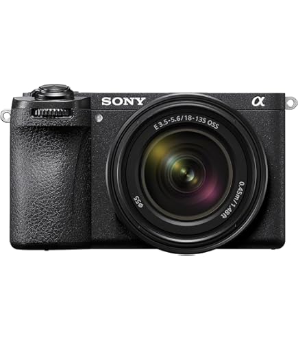 SONY - 週末限定値下　SONY α6600 新品保証期間内　ILCE-6600 美品 SONY α6600 ILCE-6600 ボディ 価格比較 - 価格.com