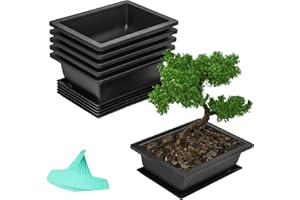 Belle Vous Pack de 6 Set Maceta Bonsai Entrenamiento con Bandejas de Humedad 16,5 x 22,5 cm - Macetas Plastico para Sembrar Flores/Suculentas - Maceta con Plato y Malla - Hogar, Jardín