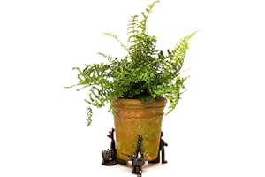 Potty Feet Wallace and Gromit Figures Plant Pot Feet - Planter Support - Handmade Decorative Ornaments - 3pcs