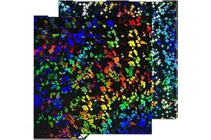 HIKUDIY 256x268mm PEF + Plate de construction Pey pour Anycubic Kobra 3 / Combo/Ace Pro, Rainbow Confetti PEF + Galaxy Pey Spring Steel Plate Print Lite pour Anycubic Kobra 3 3D Imprimante