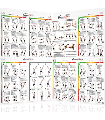 Affiche Exercice Haltères Laminée – Format 18x24 Pouces – Gloss, USA