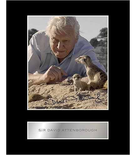 HWC Trading FR David Attenborough Gifts Printed A4 Autograph