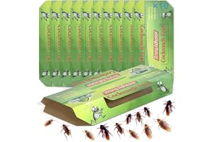 Pułapka na karaluchy, 10 sztuk, do zwalczania karaluchów, pluskiew i pyłu – nietoksyczna pułapka do monitorowania karaluchów, do kuchni (10, zielona-18)