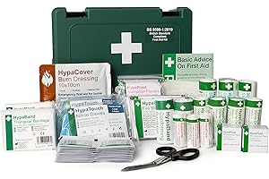 Safety First Aid Group Kit de primeros auxilios