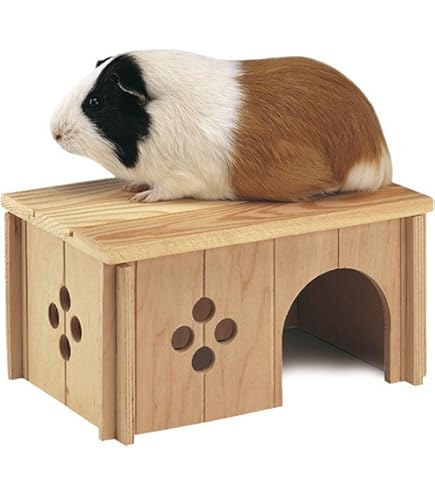 Cavia's bed cavia's schuilplaatsen wasbare kleine dieren huis kooi accessoires met mat, klein huisdier bed voor konijnen, hamsters, egels, fretten, baardraken