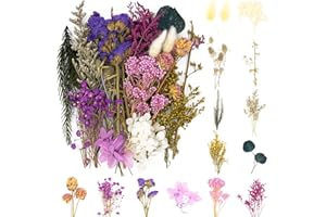 iDattel Natürliche Getrocknete Blumen,Blumen Natürliche Gemischte,DIY Natürliche Getrocknet Blumen Set für Kunst Basteln DIY Harz Scrapbooking Handwerk Karten Machen（violett）