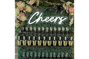HFHUNGKEONG Cheers Neonschild USB betrieben mit dimmbarem Schalter LED Neonlichtschild für Wandhintergrund dekoration Cheer Leuchtschild Neon für Bar, Geburtstag, Party, Hochzeit, 15 x 5.5in