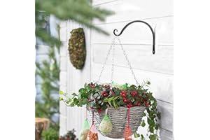 GOVNPJ 2 PZS Soportes para Plantas Colgantes en la Pared 20cm con Tornillo Gancho para Colgar Macetas Soporte para Comedero Pájaros Pared, Campanas de Viento, Faroles, Decoración de Jardín Exterior