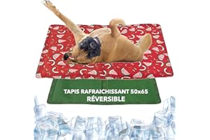 DONKID Tapis Rafraichissant Chien et Chat 50 x 65 cm - Tapis Auto-Refroidissant Gel Non-Toxique, Résistant Aux Rayures des Animaux Domestiques - Saveur d'Été et Vert - Taille M 50x65