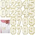 Molain 20 Pcs Patches Number Chenille for Clothing, Self Adhesive Embroidery 0-9 Number Patches with Glitter Sequins 2.2 Inch Iron On Numbers Patches for Team Uniform Sports T-Shirt Jeans Bags Decos
