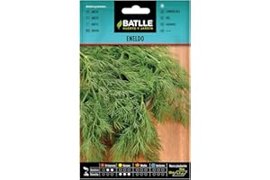 Semillas Batlle - Eneldo - Anethum graveolens, Color Verde