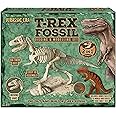 KandyToys Jurassic Era Dinosaur Fossil Digging Kit | 2-in-1 T Rex Excavation Set with Modelling Dough Clay for Kids | Dinosaur Gift