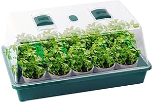 PLANÈTE PLANTE - Serre avec 15 Pots et Graines Française À Planter - Kit de Jardinage - 170600 - Plastique - Jardin - Nature - Plante - Fleurs - Jeu pour Enfant - À Partir de 4 Ans