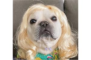 TESSVEYA Funny Hund Perücke, Katze Rollenspiel Perücke, Halloween, Weihnachten, Partys, Fest für Haustiere Perücke, kleine, mittlere und große Hunde Perücke (Lange Goldene)