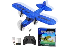 yusvwkj RC Plane, FX803 EPP RC Airplane Ready to Fly, 2.4 GHz 2 Channel Remote Control Airplane RC Glider, Remote Contro Glider for Kids/Adults/Beginners, Blue