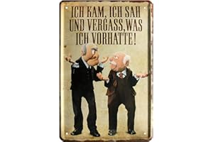 WOGEKA ART Ich kam, sah und vergaß was ich wollte 20x30 cm Spruch Blechschild 601