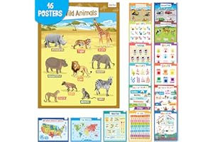 merka Lot de 16 grandes affiches murales éducatives pour jardin d'enfants – Cartes des États-Unis et du monde, lettres, formes, chiffres, animaux et plus encore, pour enfants de 2 à 6 ans – Idéal pour