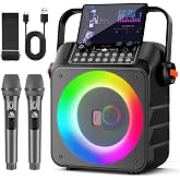 HWWR Professional Wireless Karaoke, Portable Karaoke Machine with Wireless Microphones for Adults and Kids, LED Lights, USB/T