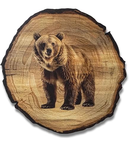 Quadro Foresta Nera Su Legno Janina 40x20 Cm | Fotografia Originale Di Sebastian Wehrle | Design Moderno E Rustico