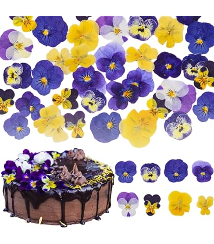 Tapis Coco Pâques 43x76 Paillasson De Pâques HilyBony – Œufs Colorés Fibre Coco Artificielle, 43,2 X 76,2 Cm, Intérieur/Extérieur Antidérapant