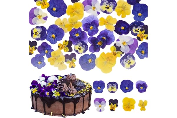 Celblisora 40 st 8 sorters naturligt torkade, pressade, ätbara blommor för att dekorera tårttoppers - Mix av trefärgade violer för cocktails, DIY-hantverk