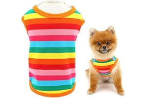 Ceeyoll Katzenbekleidung Katzenbody Nach Regenbogenweste Warme Baumwolle Robust und Komfortabel Katzenbody Haustierkleidung Die für Die Meisten Katzen Geeignet Ist Haustier Kostüm Katze（M-Code）