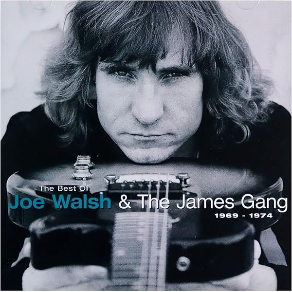 Analog Man - Walsh,Joe: Amazon.de: Musik