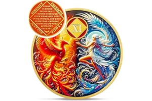 IELCJJ Phoenix Fairy 11 Year Na Medallions - Sun and Moon Sobriety Coin - Eleven Years Recovery Addiction Token - Celebrate Clean and Sober Chip - 0-20 Prime Narcotics Anonymous Gifts for Men Women