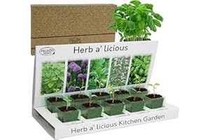 Pronto Seed Grow Your Own Herbs Kit with 5 Seeds Varieties - Indoor Growing Set - Mint, Chives, Parsley, Thyme, Basil Seeds - Gift for Women, Men - Beginner-Friendly (Herbs Kit)