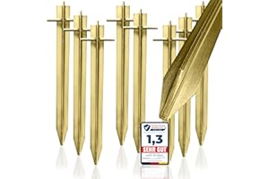 X8 Turinto® - 8 Stück stabile Zeltheringe aus robustem T-Profil Stahl (Länge 30 cm) für sicheres Camping auf harten, weichen, felsigen Böden und mehr!