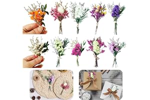 Noaxylic 10 stycken liten bukett torkade blommor minibukett torkade blommor