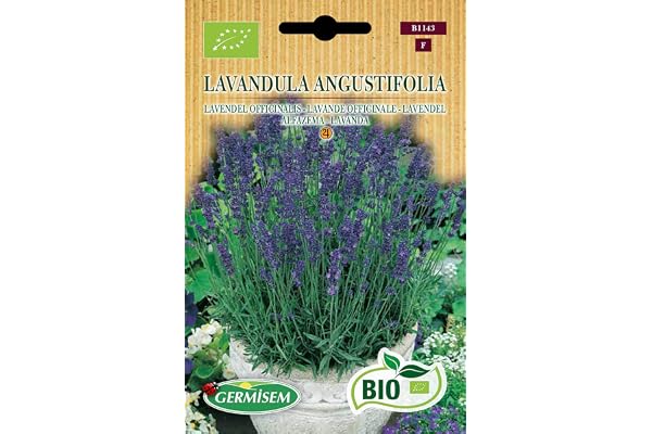 Germisem Bio Lavandula Angustifolia Graines de Lavande 0.5 g ECBIO1143 Multicolore