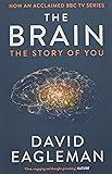 The Brain: The Story of You