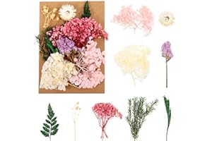 Bestomrogh Natürliche Getrocknete Blumen,Trockenblumen zum Basteln,Blumen Natürliche Gemischte,DIY Getrocknete Blumen für Kunst Basteln DIY Harz Scrapbooking Handwerk Karten Machen(Rosa)